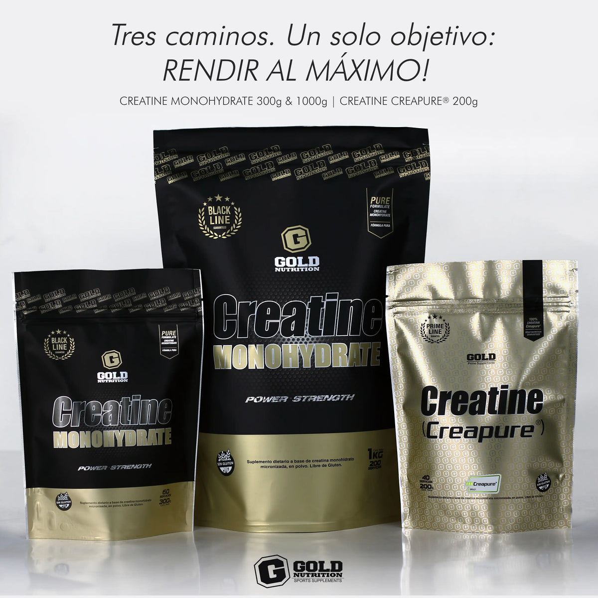 Creatine Monohydrate X 1.000 G