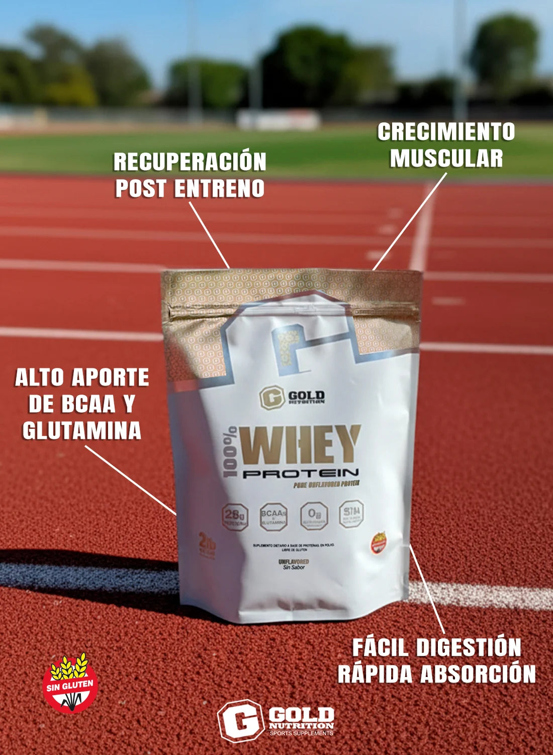 100 % Whey Protein 5 Lbs