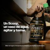 True Made Whey Protein