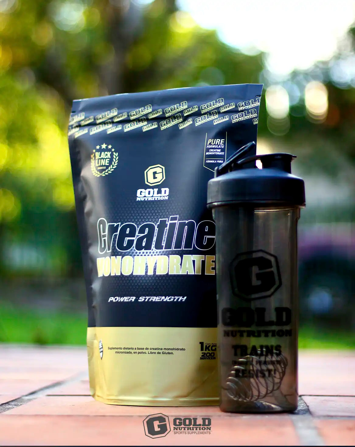 Creatine Monohydrate X 1.000 G
