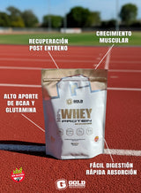 100 % Whey Protein 5 Lbs