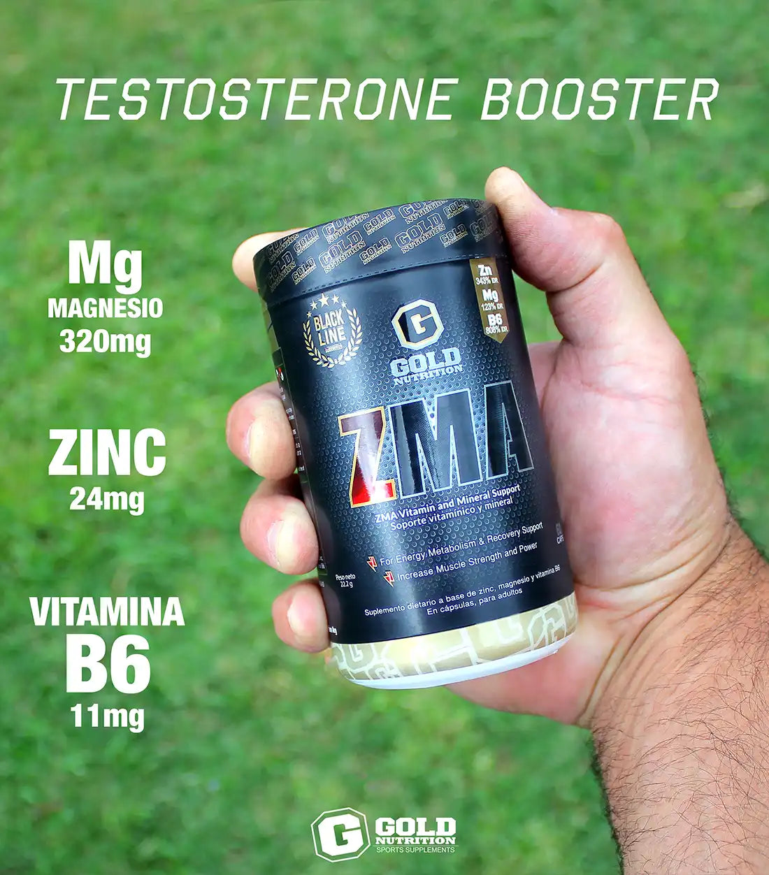 Zma X 60 Caps aportes