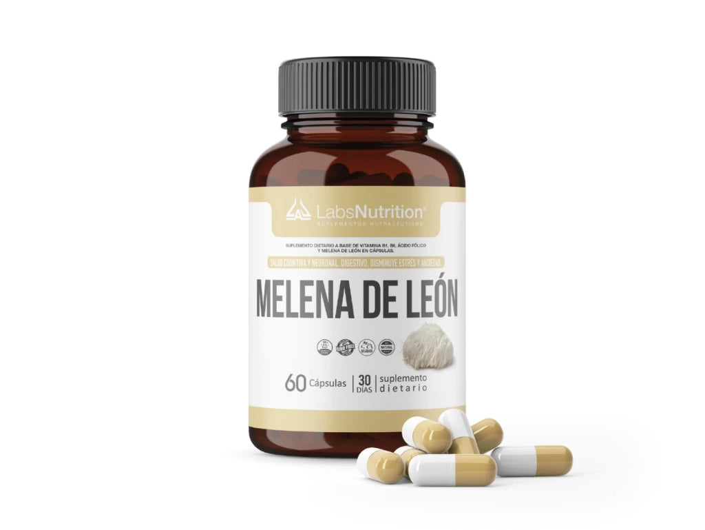 Melena de Leon pura 500 mg - Neuronal, digestivo